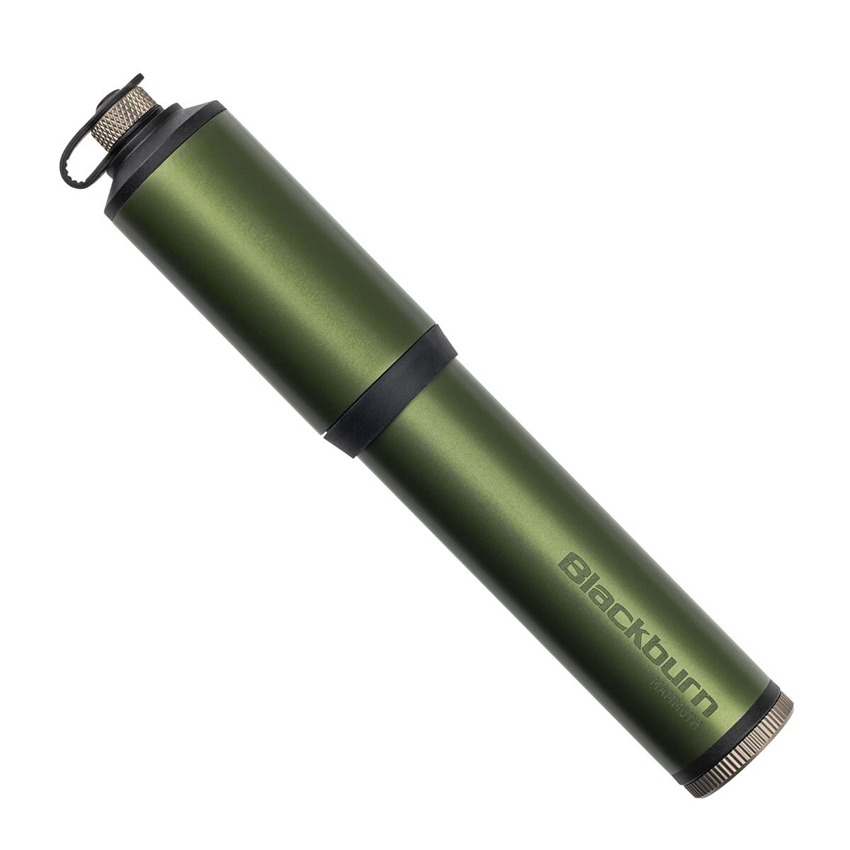 Blackburn Mammoth Mini Pump in Green